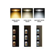 Surgeon Luxury Card Vault