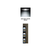 Surgeon Luxury Card Vault
