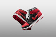 AJ1 North Pole Bred